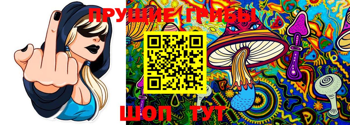 Подольск  Галлюциногенные грибы GOLDEN TEACHER  даркнет сайт  Вход с VPN 