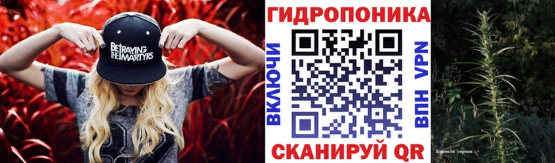 продажа наркотиков  Подольск  Бошки марихуана гибрид 